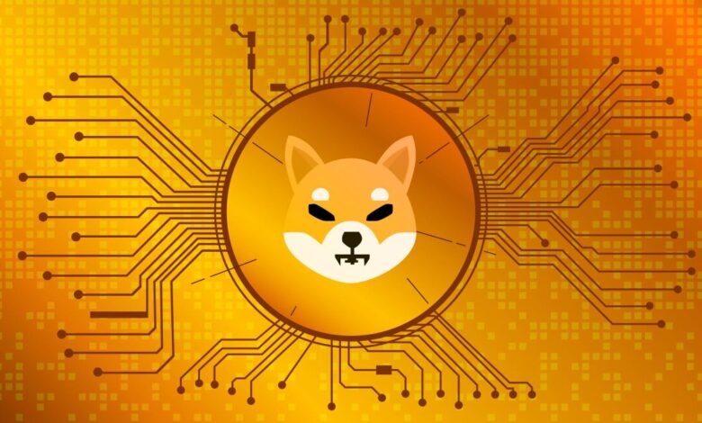 Shiba coin yorum