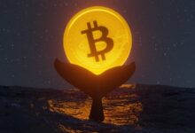 Bitcoin ve kripto paralarda bu hafta takip edilecek önemli gelişmeler