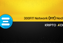 300FIT Network Nedir? FIT Ne İşe Yarar?