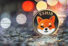 Bir sabit coin de Shiba Inu'dan: SHI geliyor