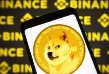 Dogecoin Geliştiricileri Uyardı: Binance'de DOGE'u...