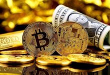 Altın, Bitcoin ve Altcoinler İçin Haftalık Finansal Yorumlar!