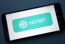 Hotbit borsası işlemleri durdurdu: Yöneticiler mahkemeye çağrıldı