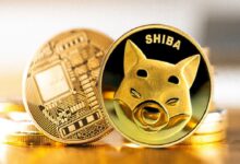 SHIB ve Bu 9 Altcoin'e Akın Var: Akıllı Para Geliyor!