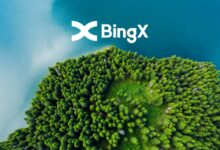 BingX'ten 10 milyon dolarlık yardım fonu