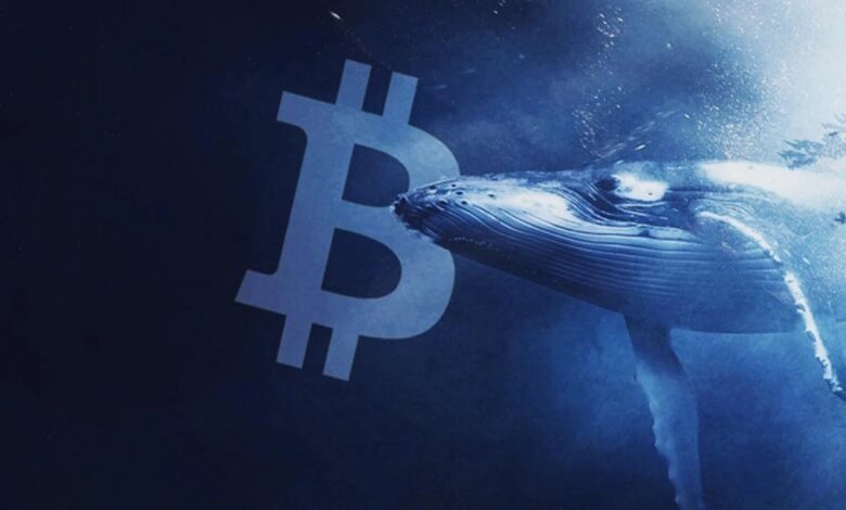 Bitcoin Balinaları Bu Seviyelerde Bekliyor: İşte Sıradaki!