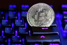Bitcoin ve diğer kriptolar menkul kıymet değildir