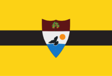 Liberland Metaverse'de İlk Ulus Olmayı Hedefliyor!