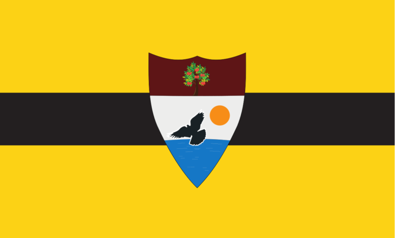 Liberland Metaverse'de İlk Ulus Olmayı Hedefliyor!