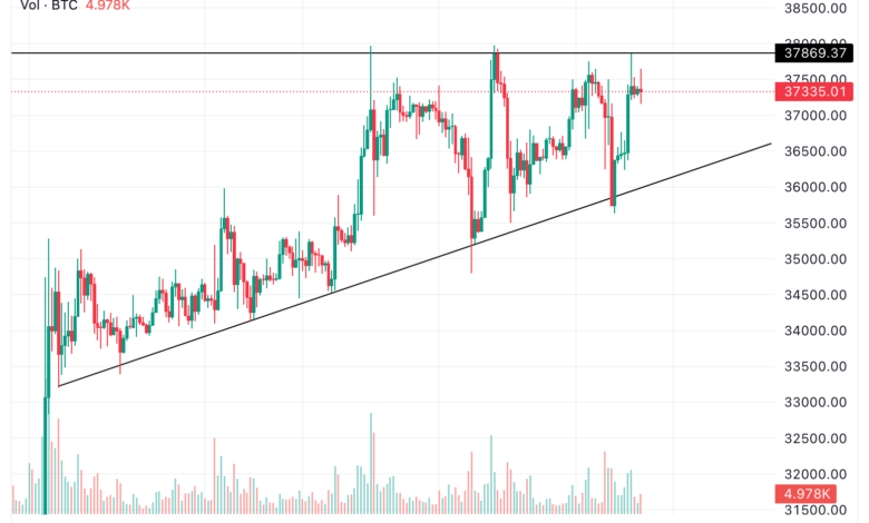 Altcoins take a breather as Bitcoin stalls at resistance