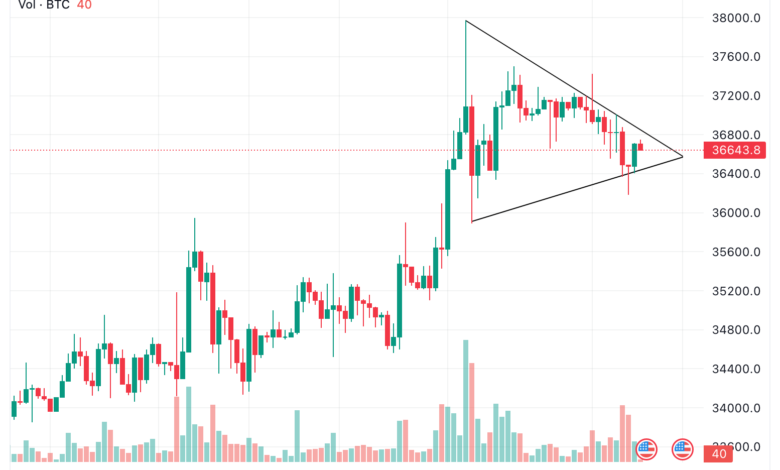 Bitcoin (BTC) and altcoins recover quickly from latest crypto dip