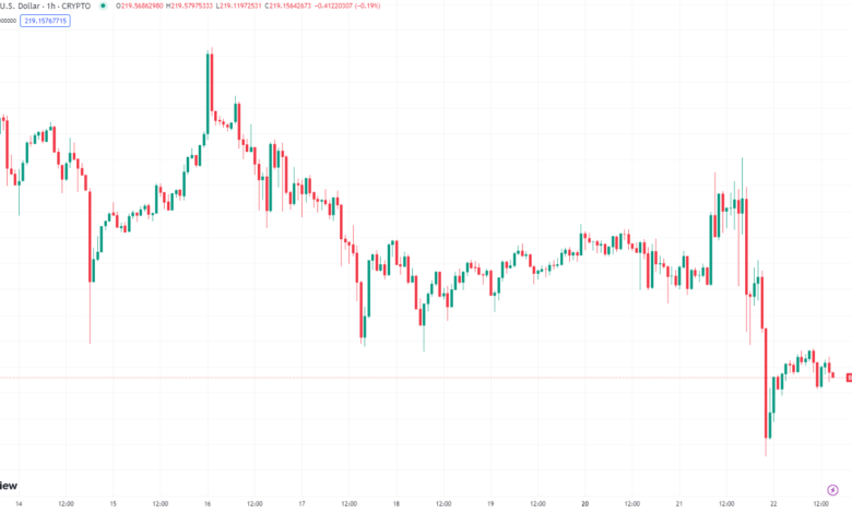 Is Now the Time to Bet on Bitcoin Cash (BCH) as Binance Faces Shock Regulatory Action?