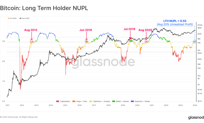 Bitcoin LTH NUPL