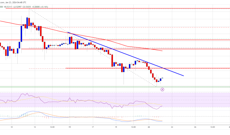 Ripple (XRP)