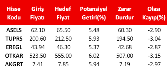 Alnus Yatırım Haftalık Hisse Önerileri – (6-10 Mayıs 2024) Hisse Önerileri